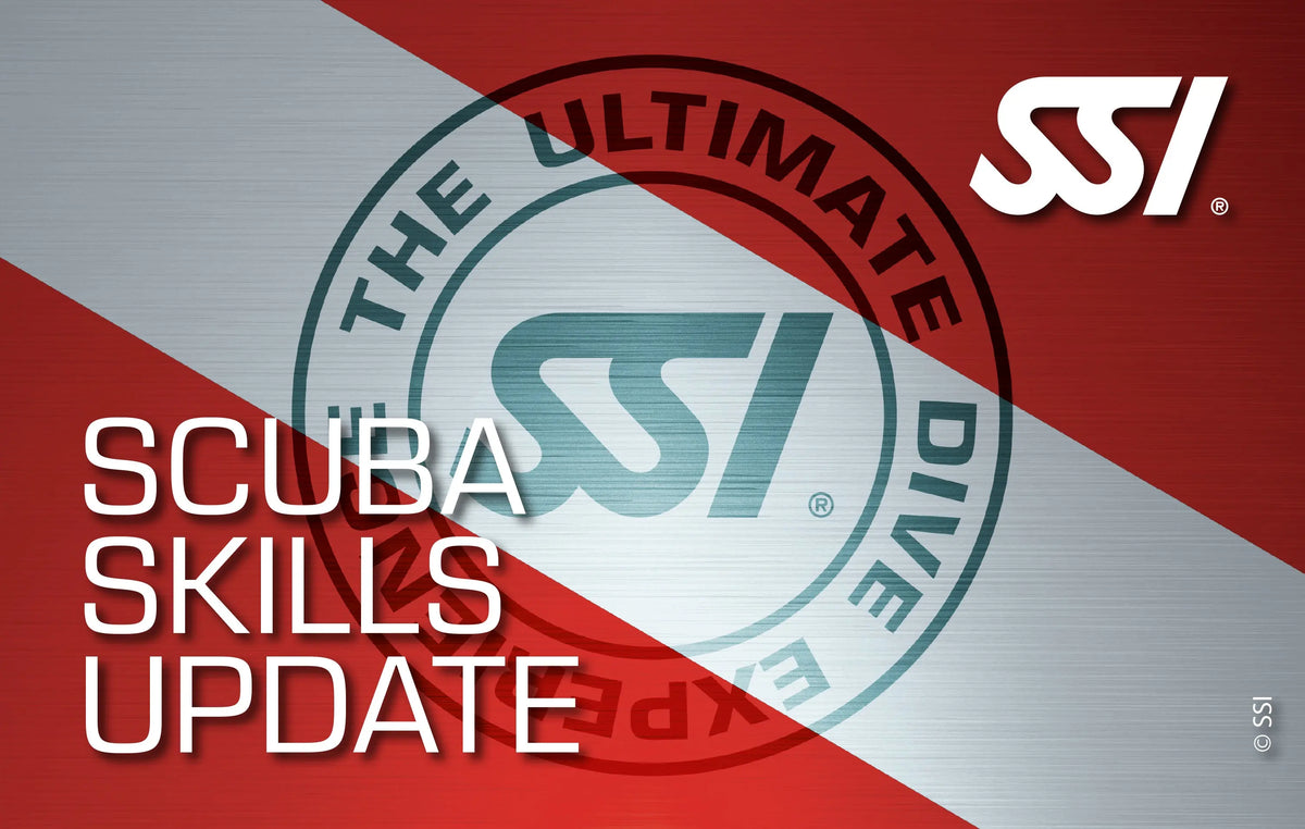 SSI - Scuba Skills Update WATERSPORTS24