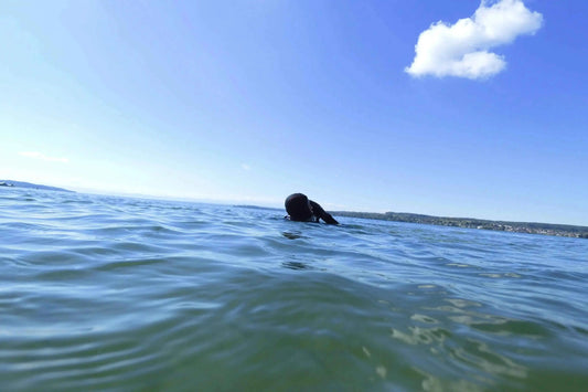 Taucher im Wasser an der Oberfläche