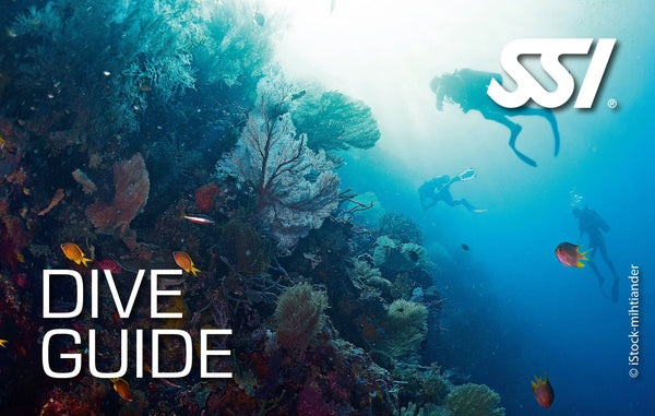 SSI Diveguide