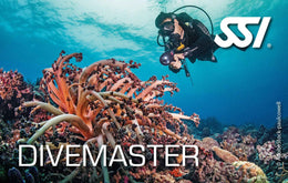 SSI Divemaster WATERSPORTS24